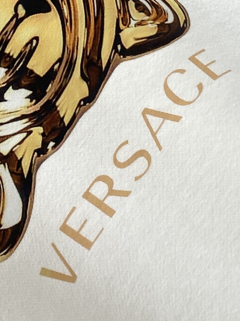 Versace, 2025 New Hoodie